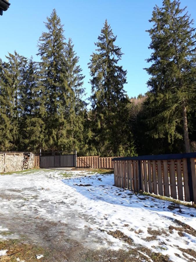 Ozdoba Vila Verkhovyna Exterior foto